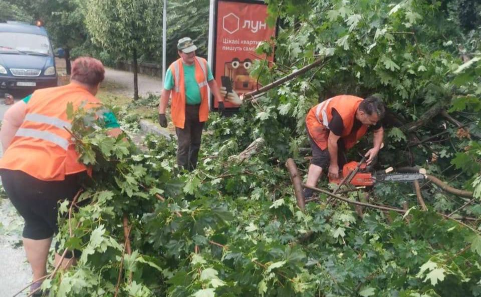 Обірвані лінії електропередач, повалені дерева: Київщиною пронісся буревій (ФОТО)