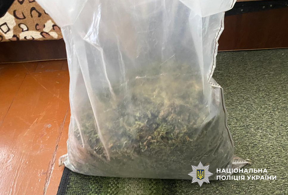 Сховав понад два кіло канабісу: мешканця Одещини засудили умовно (ФОТО)
