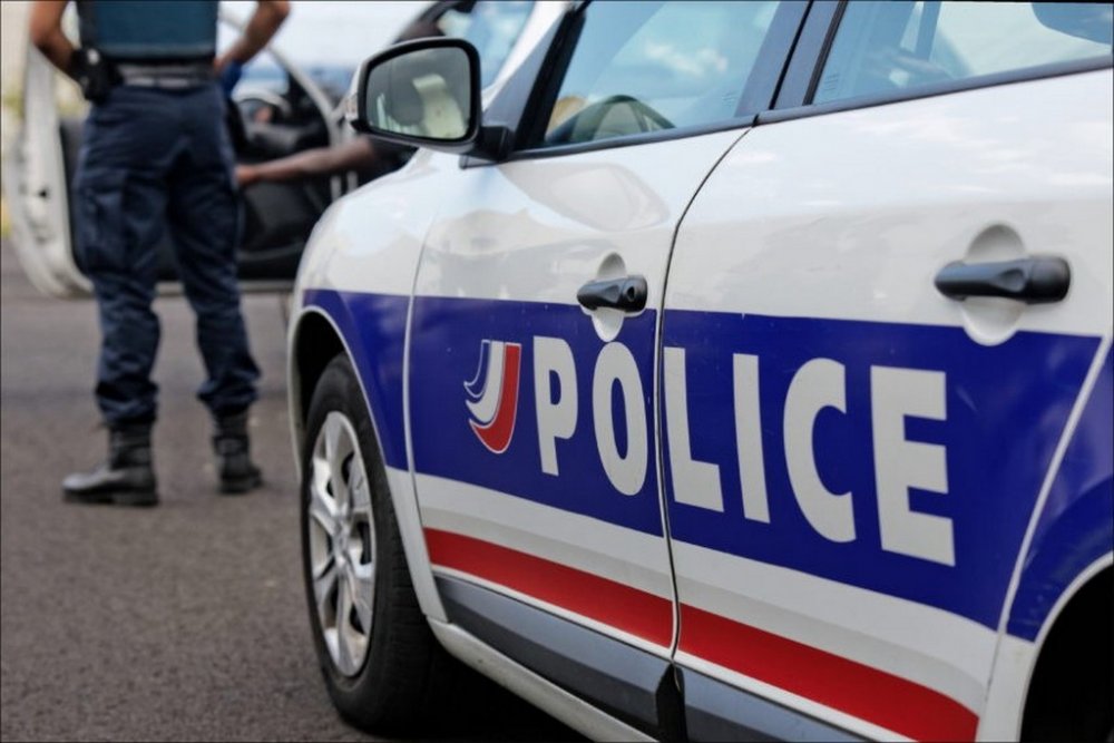 У Франції поліція другу добу шукає удава, що втік з тераріуму