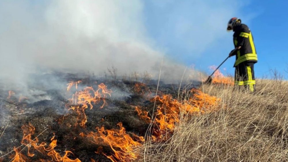 На Одещині через загоряння сухої трави згоріли будинки (ФОТО)