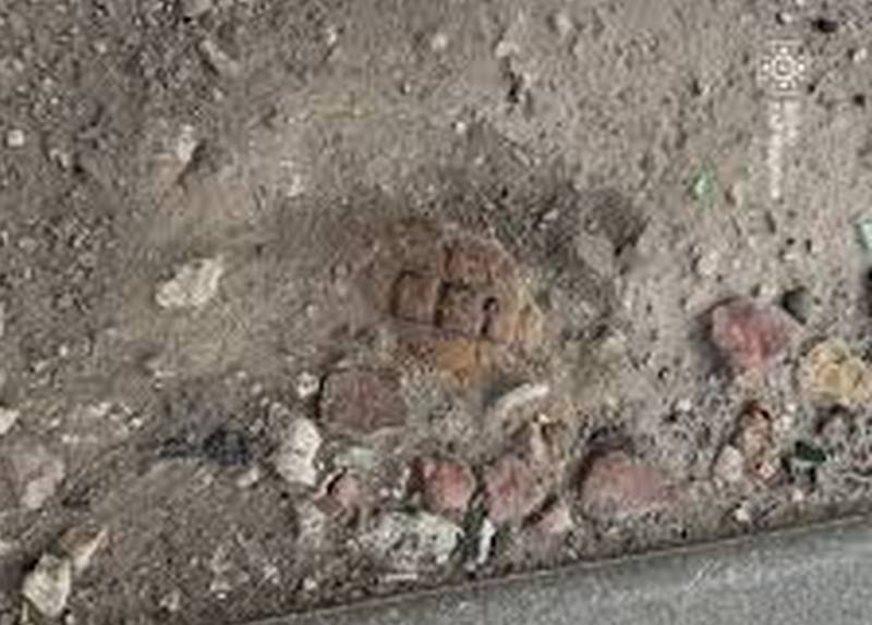 У Львові поблизу зупинки транспорту знайшли гранату