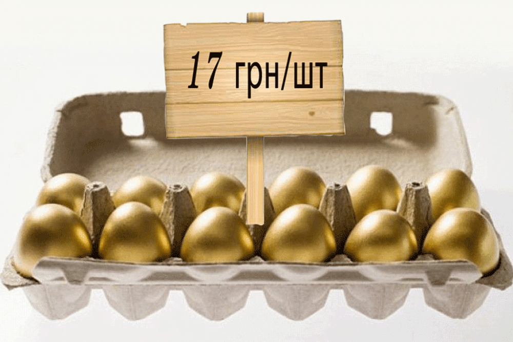 У справі «золотих яєць» МОУ суд дозволив спецрозслідування щодо власниці компаній-постачальниць