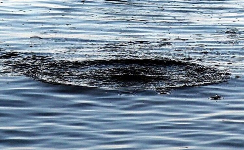 Тіло зниклого 9-річного хлопчика було виявлено без ознак життя у водоймі