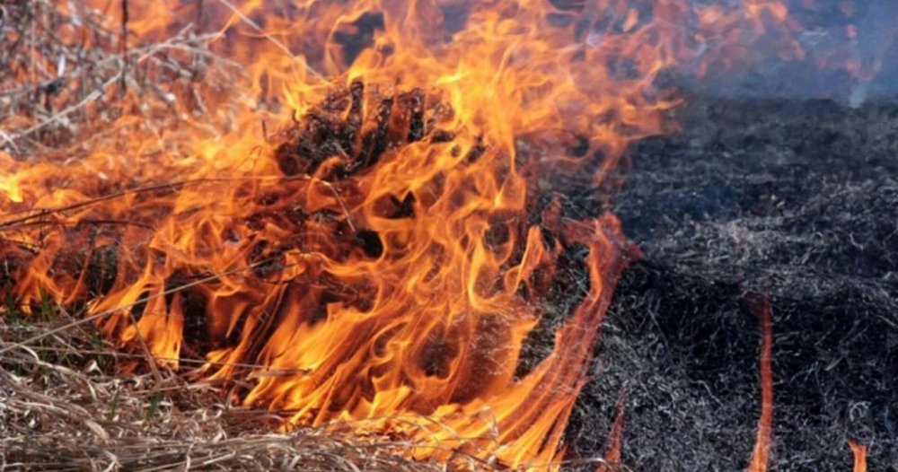 На Львівщині чоловік намагався загасити пожежу сухостою та мало не згорів живцем