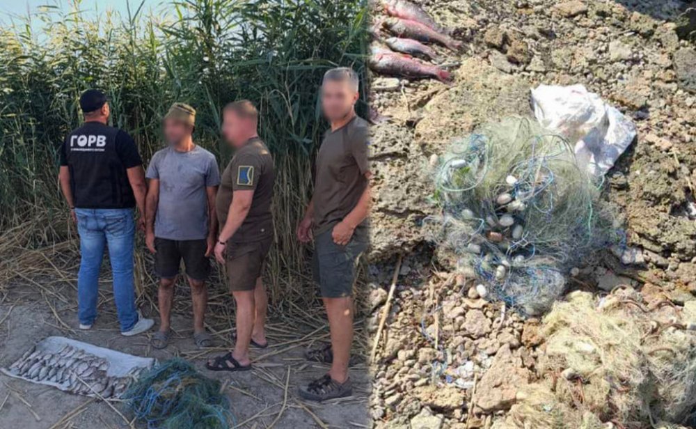 На Одещині браконьєри наловили риби на понад 177 тисяч гривень