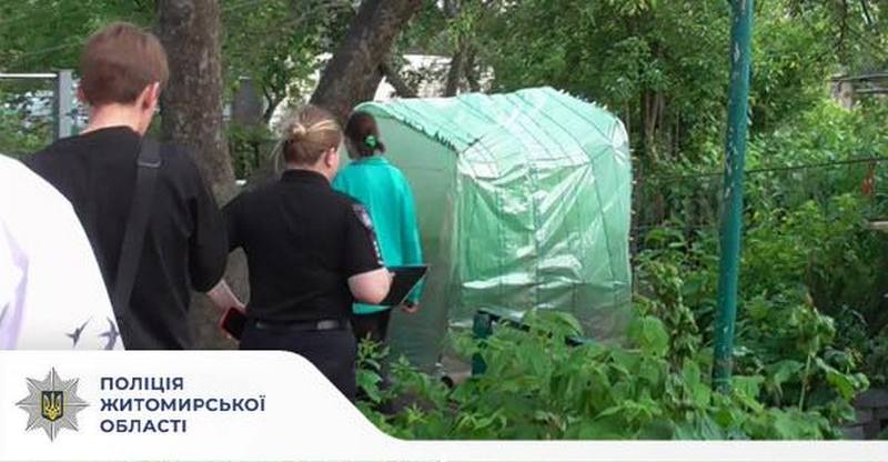 На Житомирщині поліцейські викрили господаря наркооранжереї (ФОТО)