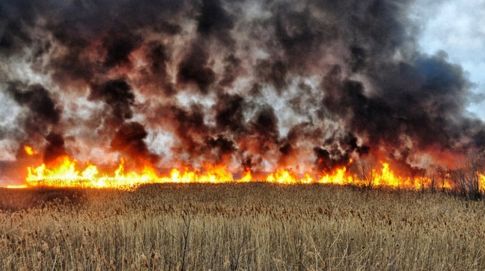На Одещині під час пожежі в полі загинув чоловік