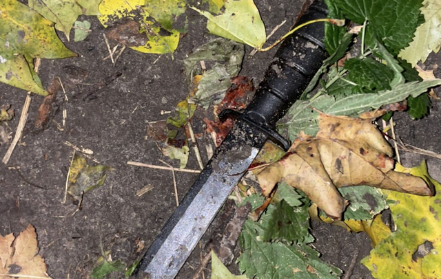 У Києві чоловік зарізав перехожого після суперечки на Замковій горі (ФОТО)