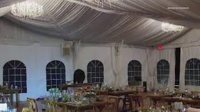 Ведмідь у США розігнав весілля, коли увірвався "за десертом" (ВІДЕО)