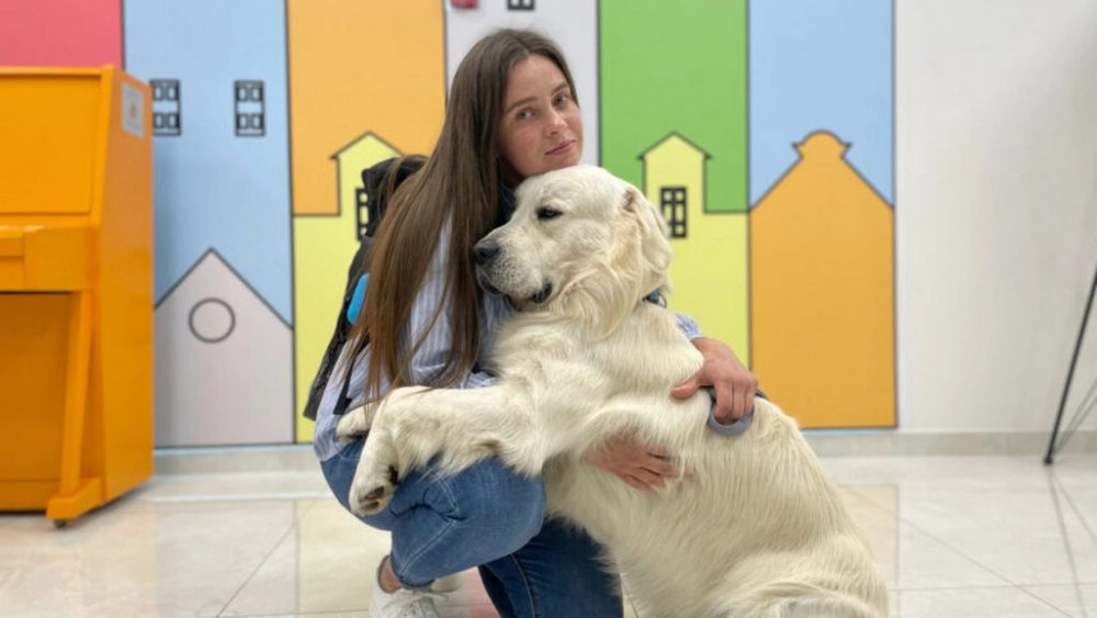 Хвіст замість халата: у львівській дитячій лікарні з’явився перший пес-терапевт (ВІДЕО)