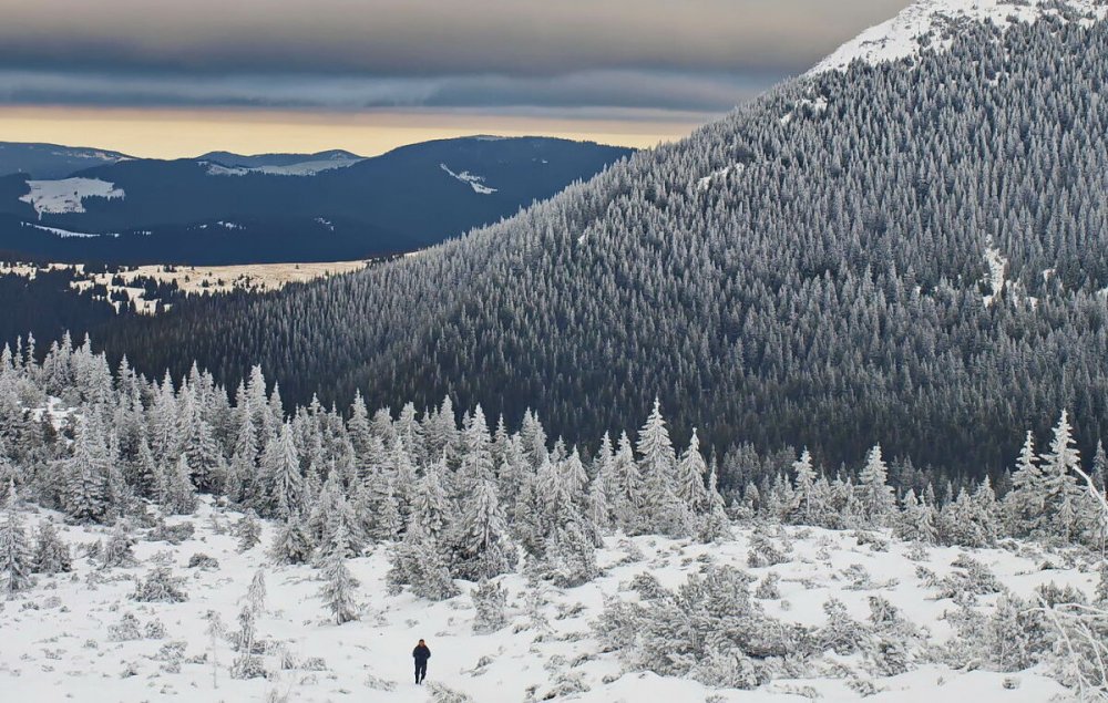У Карпатах – справжня зима: вершина у хмарах і снігових заметах до 80 см (ФОТО)