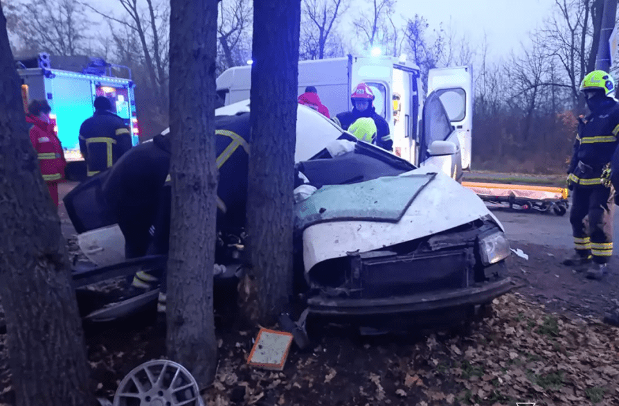 На Дніпропетровщині “Volkswagen” влетів у дерево: загинула пасажирка (ФОТО)
