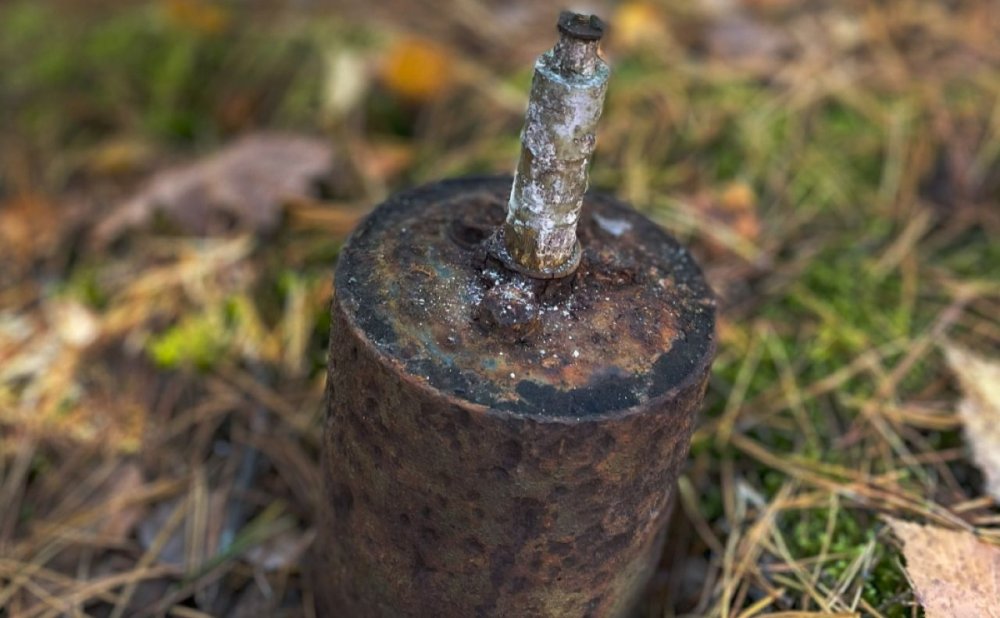 На Київщині грибник натрапив на «міну-жабу» часів Другої світової (ФОТО)