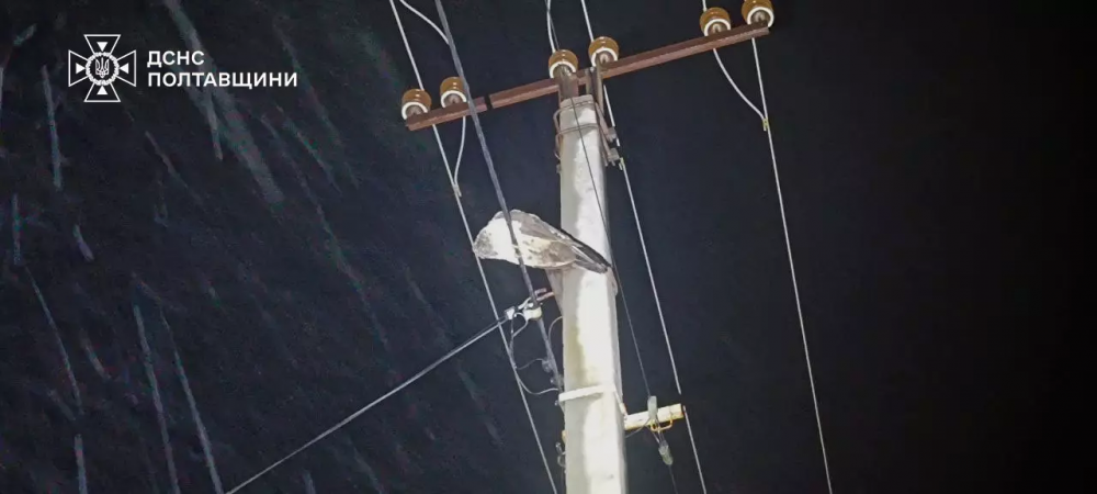 У Горішніх Плавнях рятувальники зняли з електроопори перелякану самку павича (ФОТО)