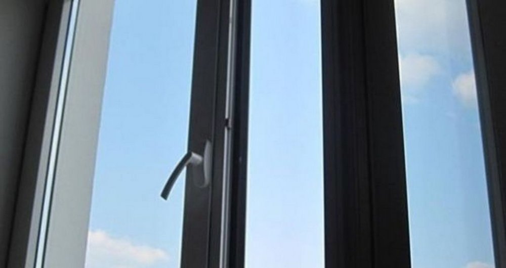 У Києві 11-річний хлопець викинув сусідського кота з вікна багатоповерхівки