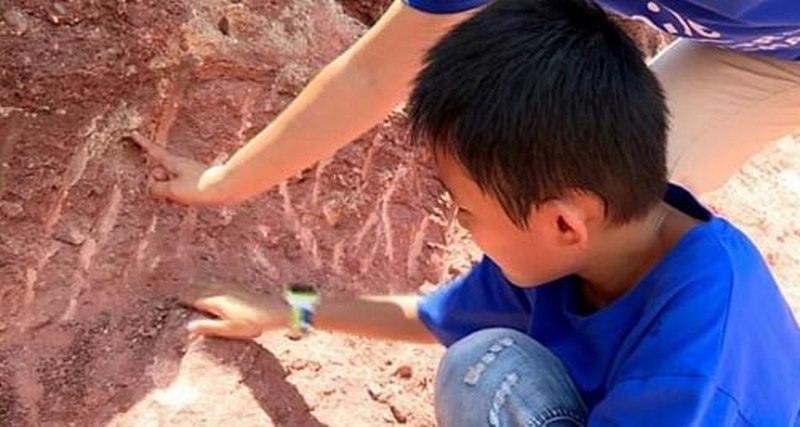 Школяр випадково знайшов давні яйця динозавтра (ВІДЕО)