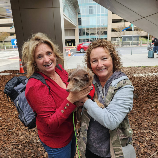 Пес Чоко, який зник майже 5 років тому, знайшовся за 3700 км від дому (ФОТО)