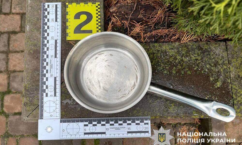 Побив рідну тітку каструлею по голові: на Обухівщині затримали чоловіка за нанесення тяжких травм (ФОТО)
