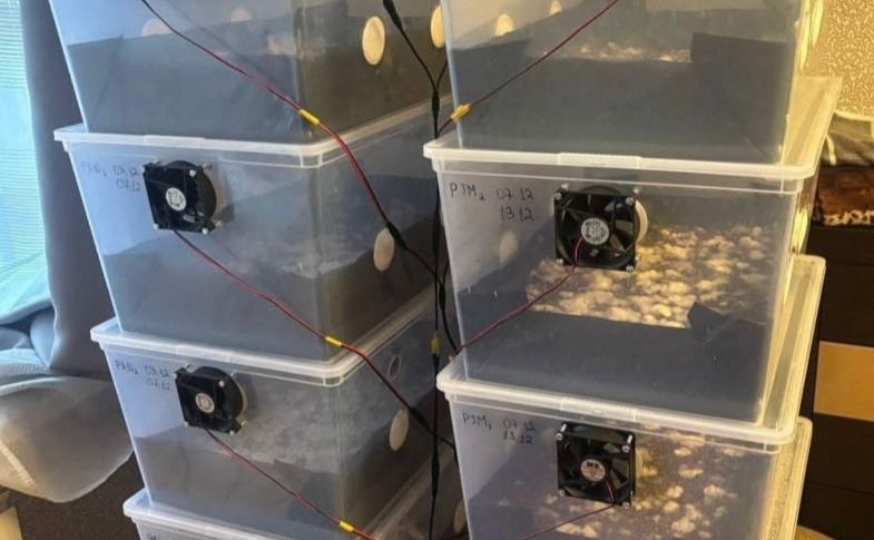 Отруйні ласощі: поліція затримала киянина, що торгував «наркотичним» шоколадом (ФОТО)