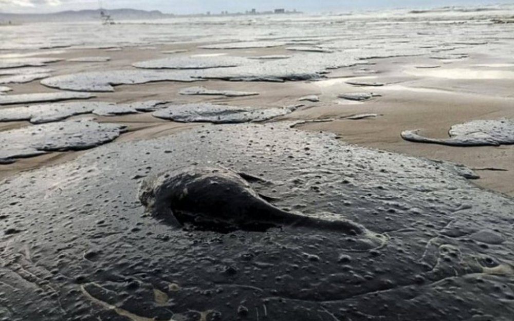 На Одещині помітили плями мазуту з російських танкерів (ВІДЕО)