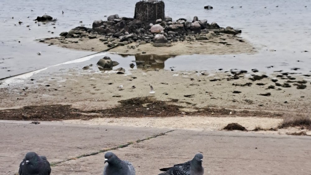 Критичне обміління: у Камʼянському річка Дніпро відійшла на 50 метрів від берега (ВІДЕО)