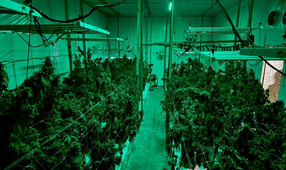 Організували нарколабораторію: поліцейські Київщини повідомили про підозру пʼятьом фігурантам (ФОТО)