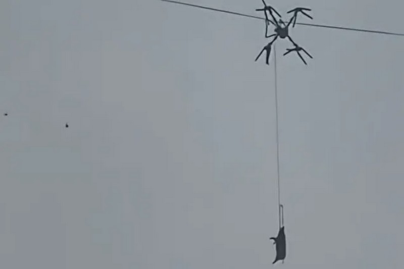 У Китаї село залишилось без світла через свиню на дроні (ФОТО)