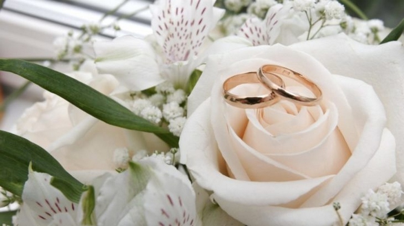 Українець відкрив збір на своє весілля – тепер з нього сміється весь інтернет (ВІДЕО)