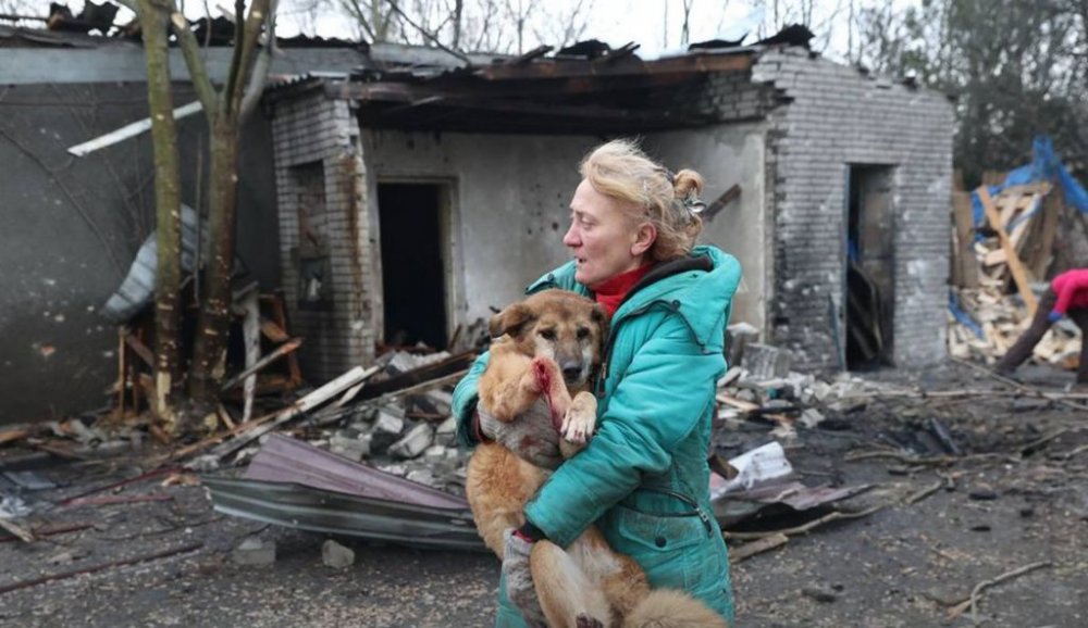 Росіяни обстріляли притулок для тварин у Запоріжжі: кадри з місця атаки (ВІДЕО)