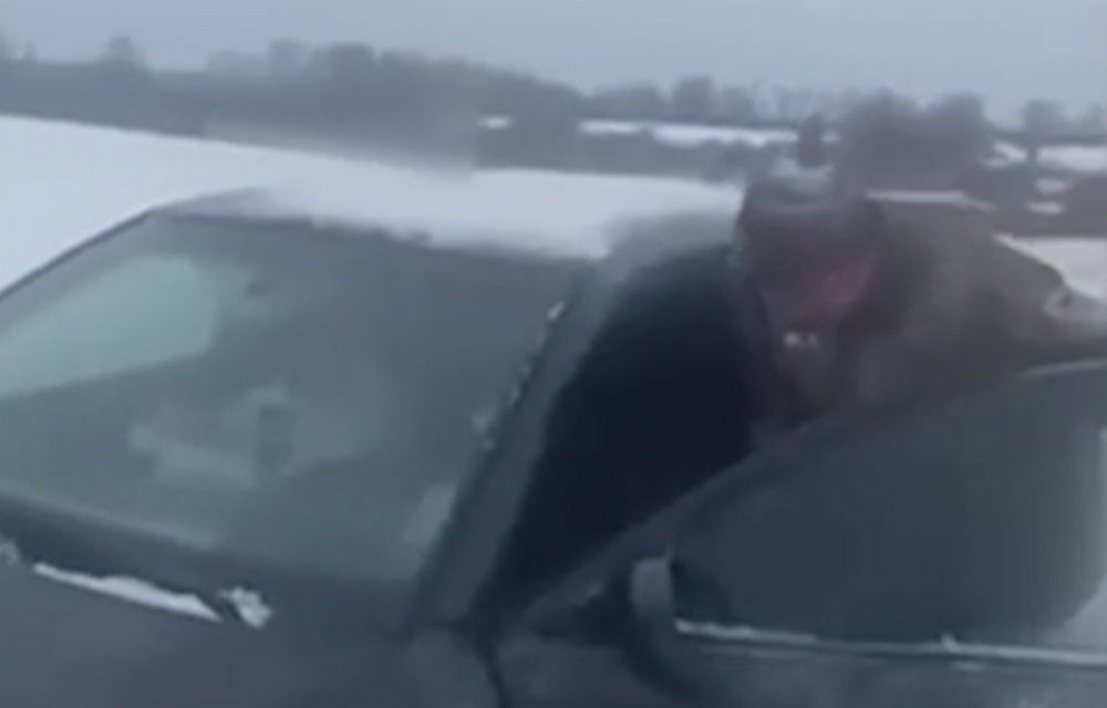 Заблокована автівка серед поля: на Київщині сталась надзвичайна ситуація (ВІДЕО)