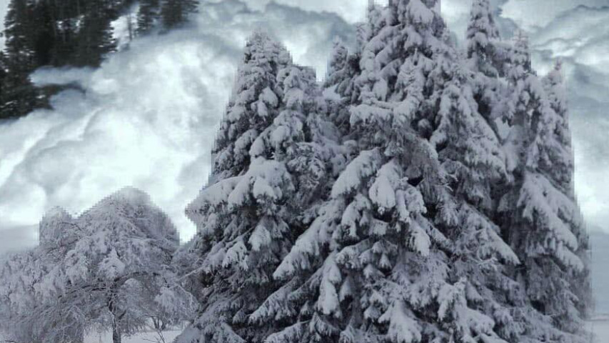 У Карпатах на туристів зійшла лавина (ВІДЕО)