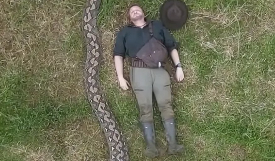 В Індонезії зафіксували найдовшу змію у світі – її довжина більше 7 метрів (ВІДЕО)
