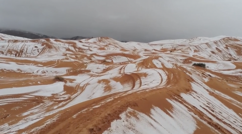 Унікальне явище: пустелю Сахару засипало снігом (ВІДЕО)