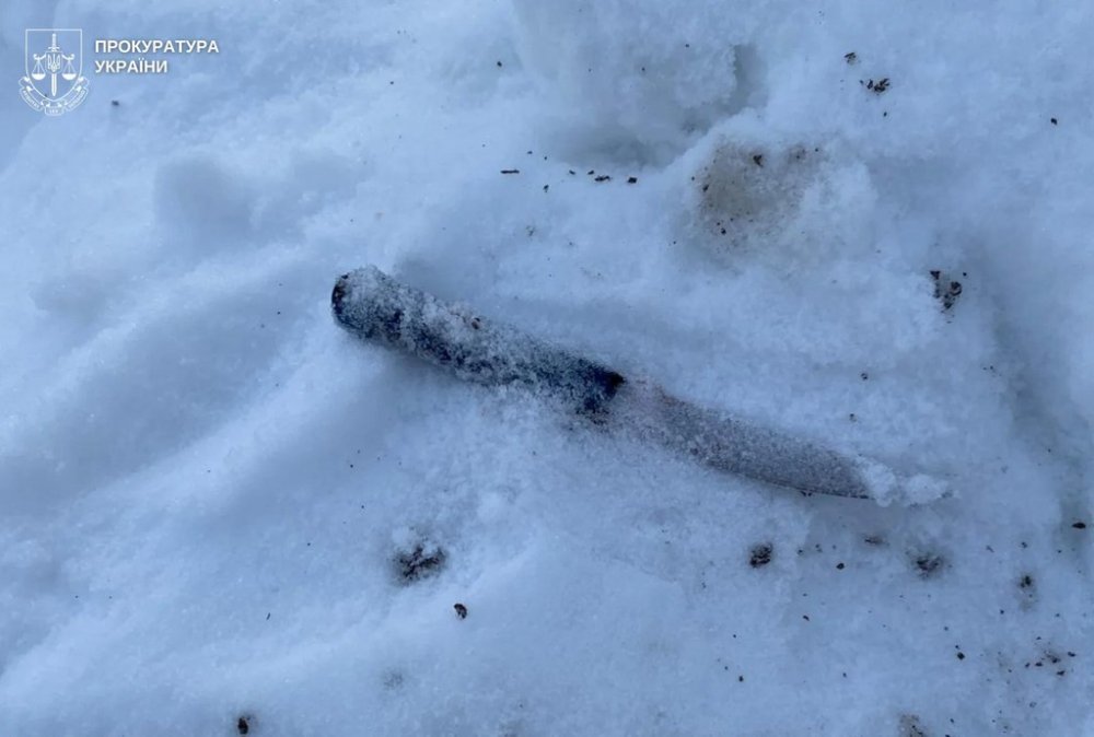 На Київщині чоловік зарізав співмешканку під час сварки та викинув на сусідський город (ФОТО)