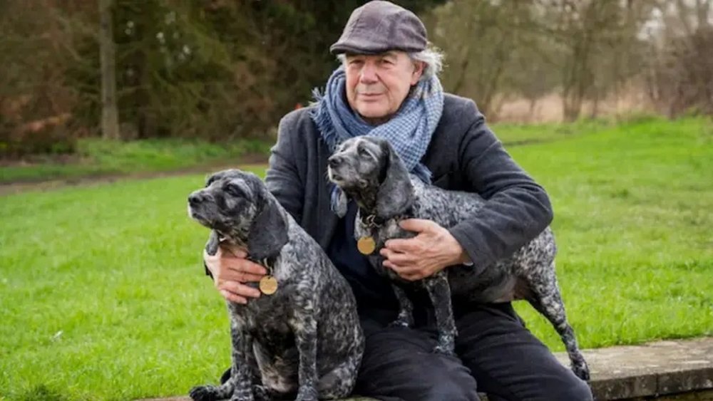 Британець продав два "мерседеси", щоб клонувати свою собаку після її смерті