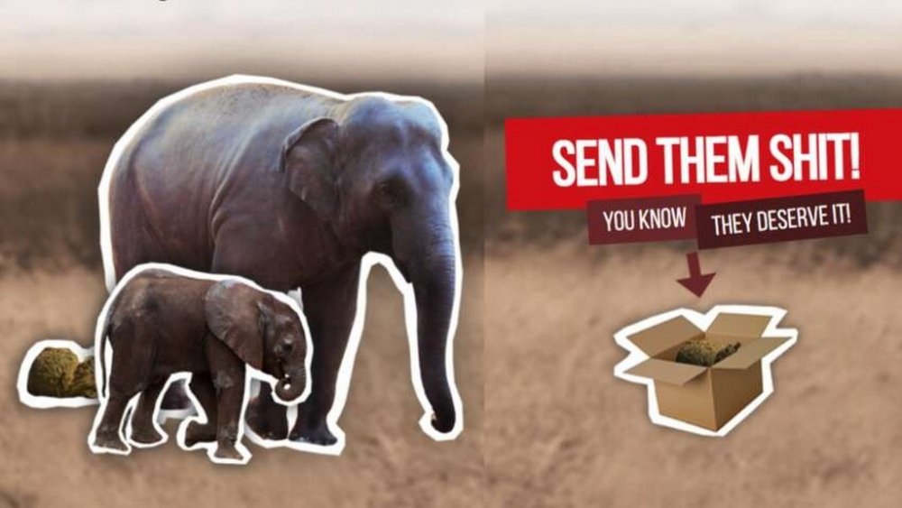 Помста з ароматом слона: у Європі запустили сервіс доставки гною для «особливих» людей