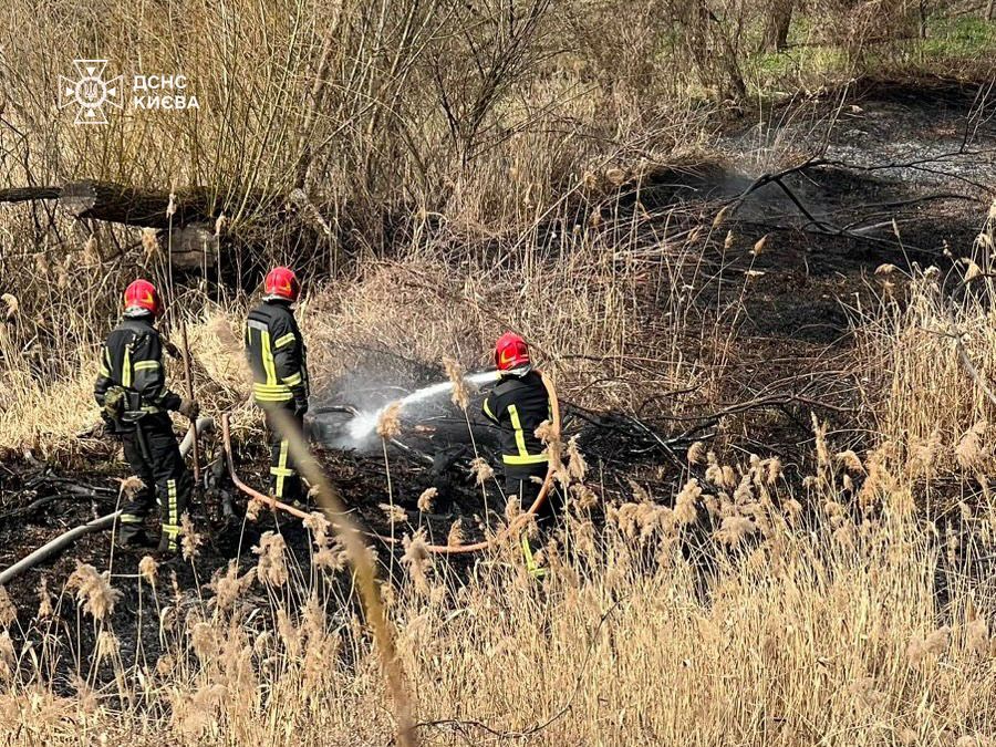 У Голосієві загасили масштабну пожежу сухостою (ФОТО)