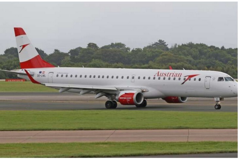 Маленька бджола зупинила пасажирський літак і затримала рейс на п'ять годин