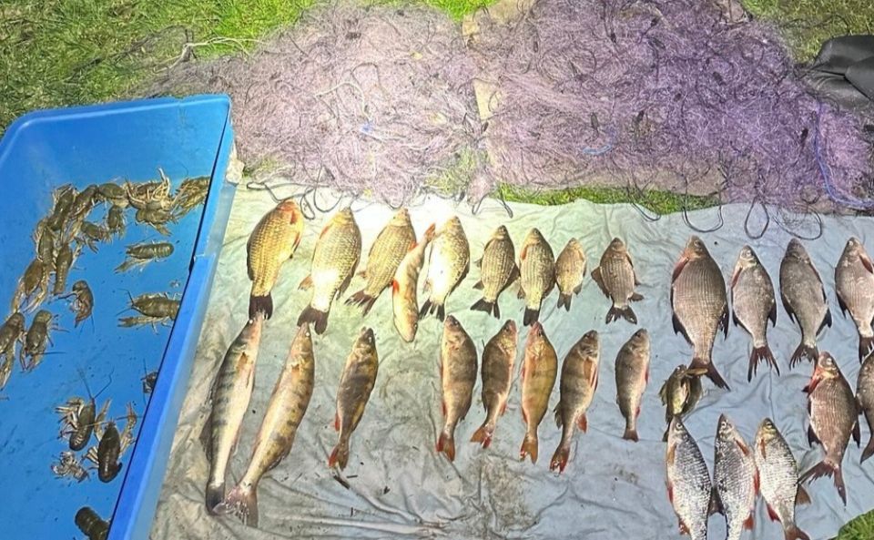 Наловив раків та риби на Київщині: що буде з браконьєром (ФОТО)