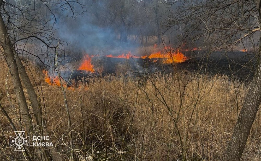 У Голосієві загасили масштабну пожежу сухостою (ФОТО)