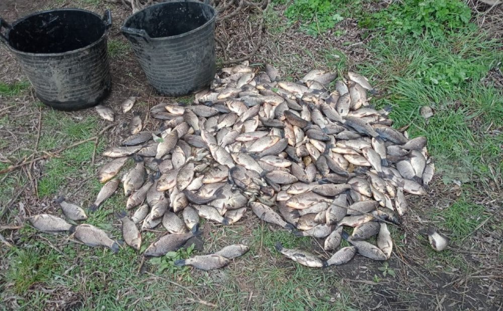 На Вінниччині браконьєр встановив антирекорд, виловивши понад 4,5 тисячі рибин (ФОТО)