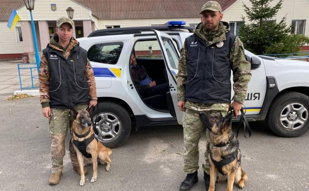 Знайшли у лісі: під Києвом понад дві доби шукали зниклого пенсіонера (ВІДЕО)