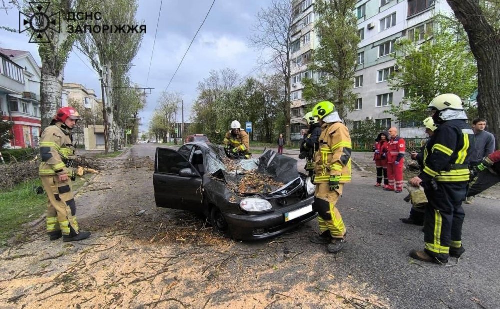 Наслідки стихії: у Запоріжжі дерево впало на легковик і вбило водія (ФОТО)