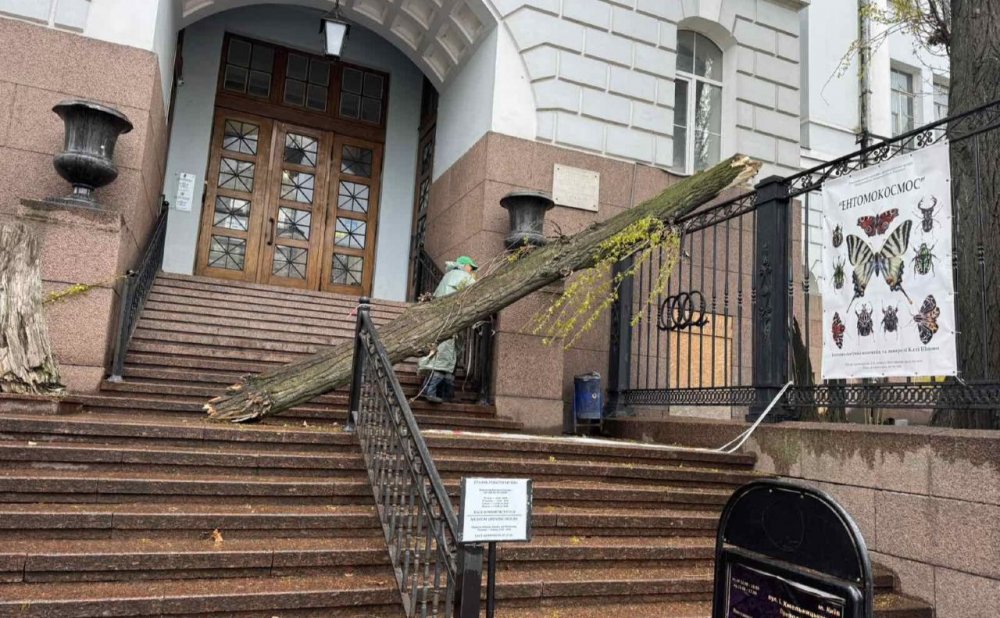 Шквальний вітер у Києві: наслідки негоди (ФОТО)