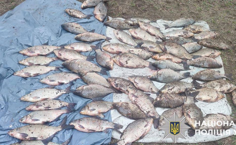 На Київщині браконьєр наловив риби на 90 тисяч гривень (ФОТО)