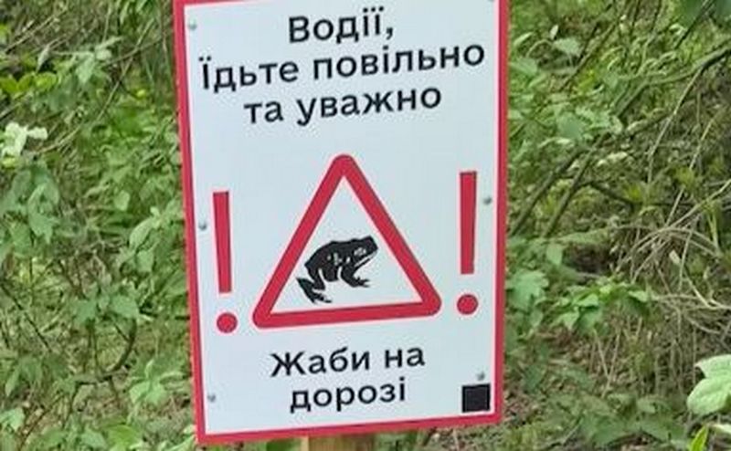 «Обережно, жаби!»: навіщо в зелених зонах Києва облаштували попереджувальні знаки (ФОТО)