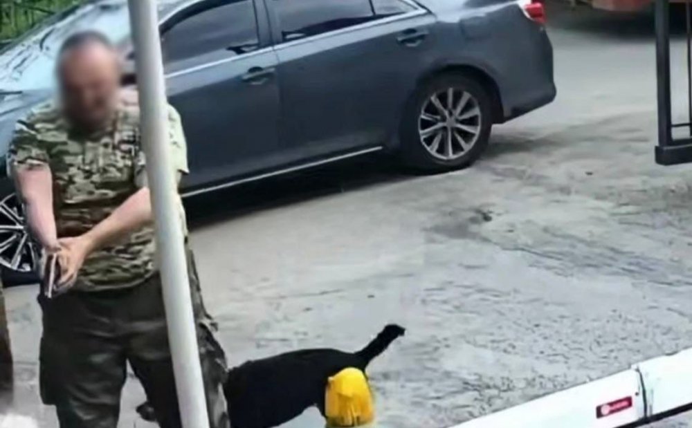 Поліція розслідує озброєний конфлікт, що стався у Соломʼянському районі (ВІДЕО)