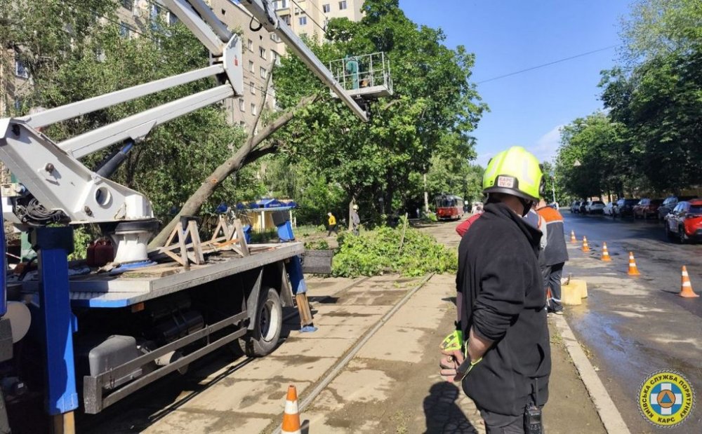 У трьох районах Києва прибирали дерева, повалені негодою (ФОТО)