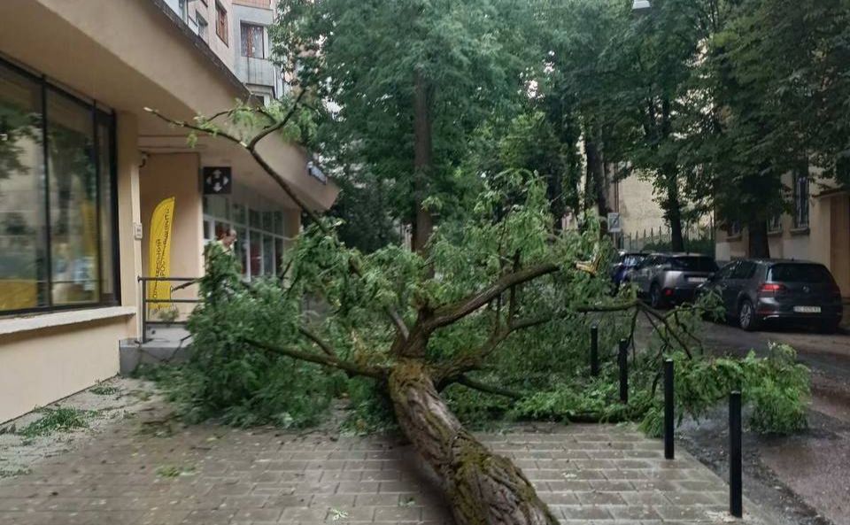 Негода у Львові: блискавка уразила дівчинку, в місті повалені десятки дерев (ВІДЕО)