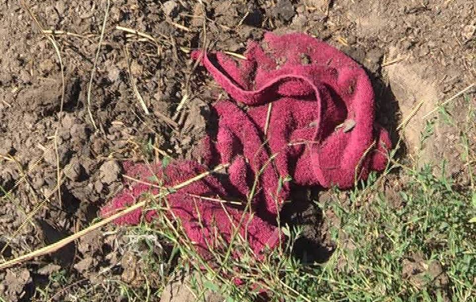 Закопала тіло немовляти на подвір’ї: на Ужгородщині затримали жінку, через недбалість якої загинула донька (ВІДЕО)